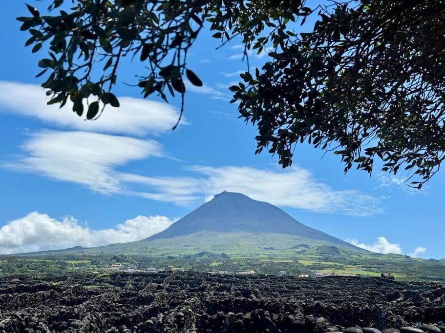 Pico Island Villas Madalena  Exterior photo